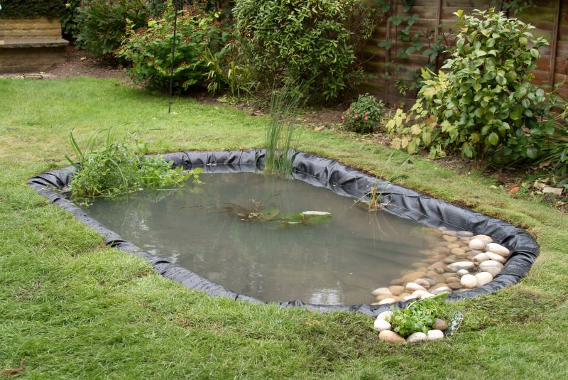 Winter Limitations for Ponds