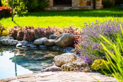 Naturalistic Pond Design